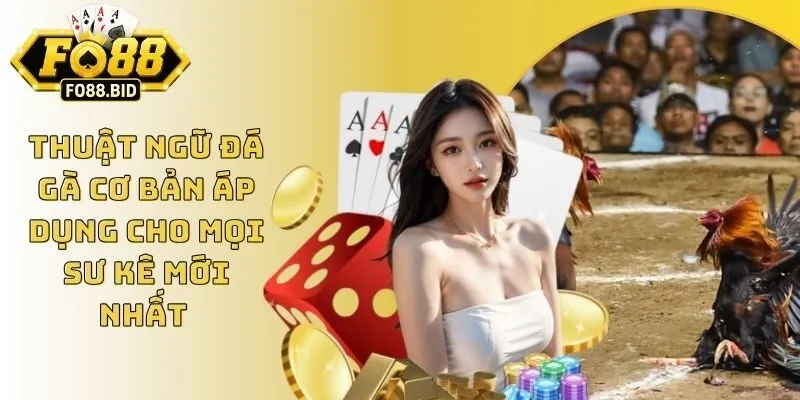 Thuật Ngữ Đá Gà Cơ Bản Áp Dụng Cho Mọi Sư Kê Mới Nhất 4 Thuật Ngữ Đá Gà Cơ Bản Áp Dụng Cho Mọi Sư Kê Mới Nhất